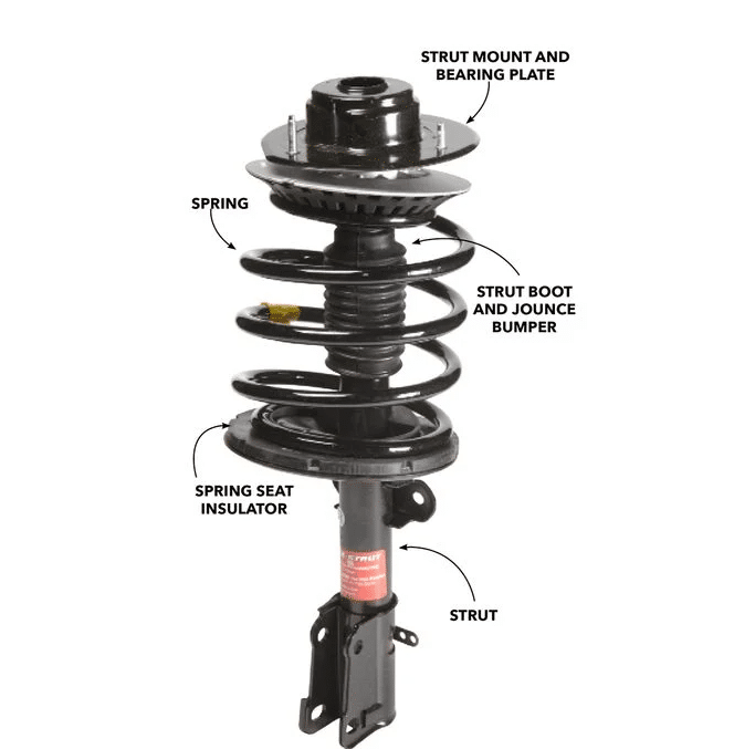 Strut Vs Shock Vs Coilover What's The Difference?