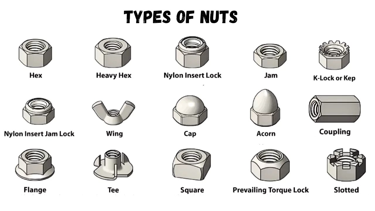The Different Types of Nuts and Bolts Explained (With Pictures!)(03)