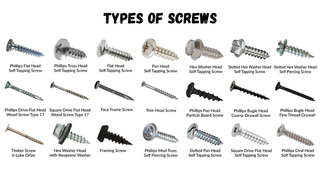35 Different Types of Screws and Their Uses sepsitename