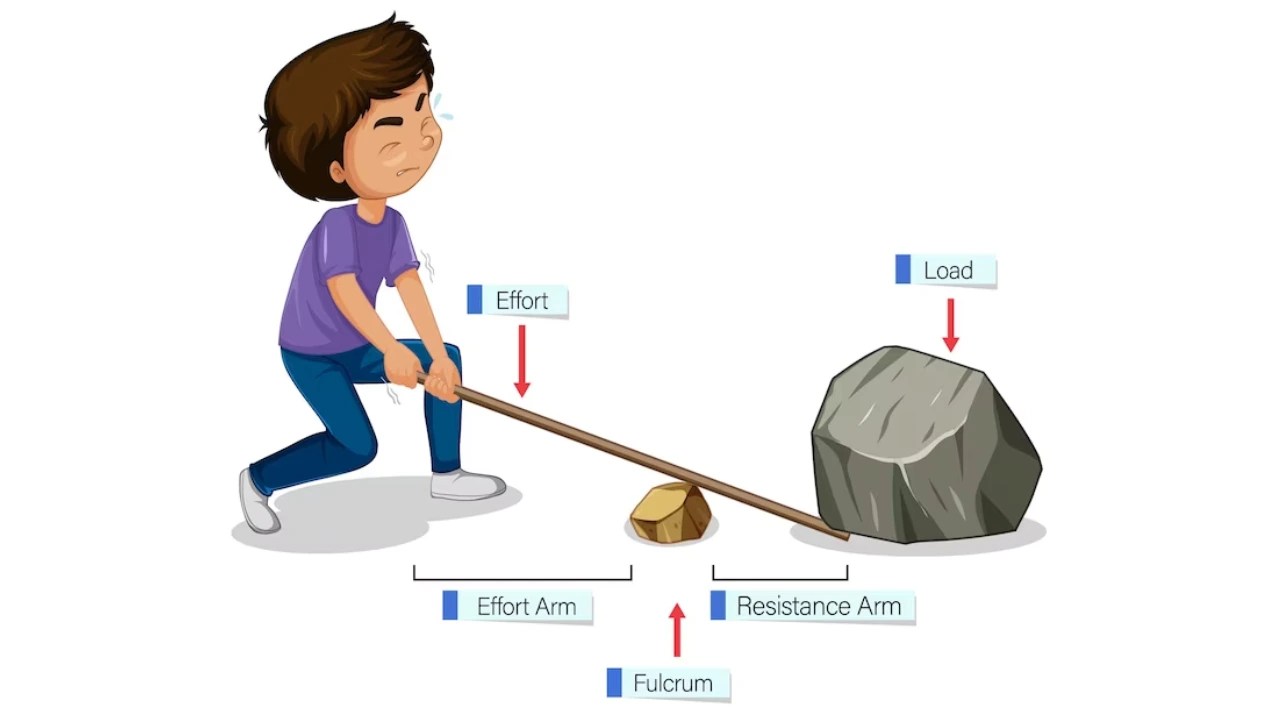 Examples Of Levers in Everyday Life