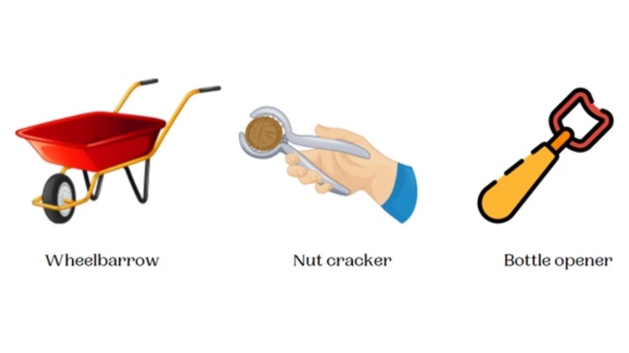 Examples Of Levers in Everyday Life