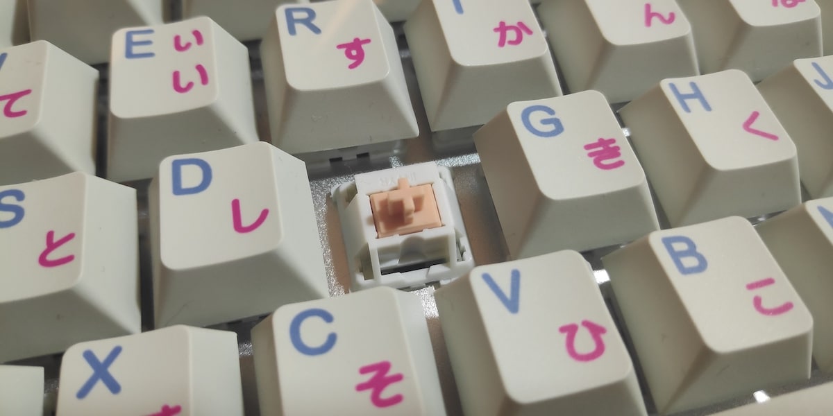The Allure of Holy Panda Switches A Comprehensive Exploration Mech Keybs