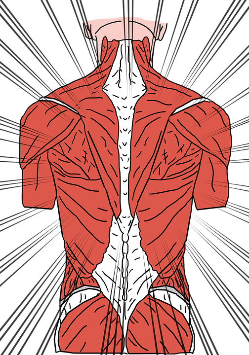 MediMere Huisartsenpraktijk in Almere Spierpijn