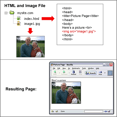 HTML Image Tag