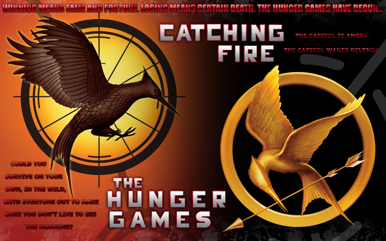 "The Hunger Games" Sequel, "Catching Fire", Gets Release Date MediaMikes