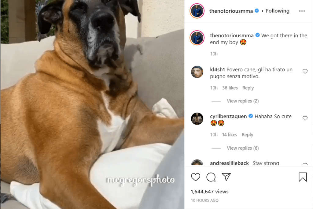 Conor McGregor mourns the loss of his dog Hugo