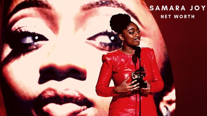 Samara joy net worth 2025
