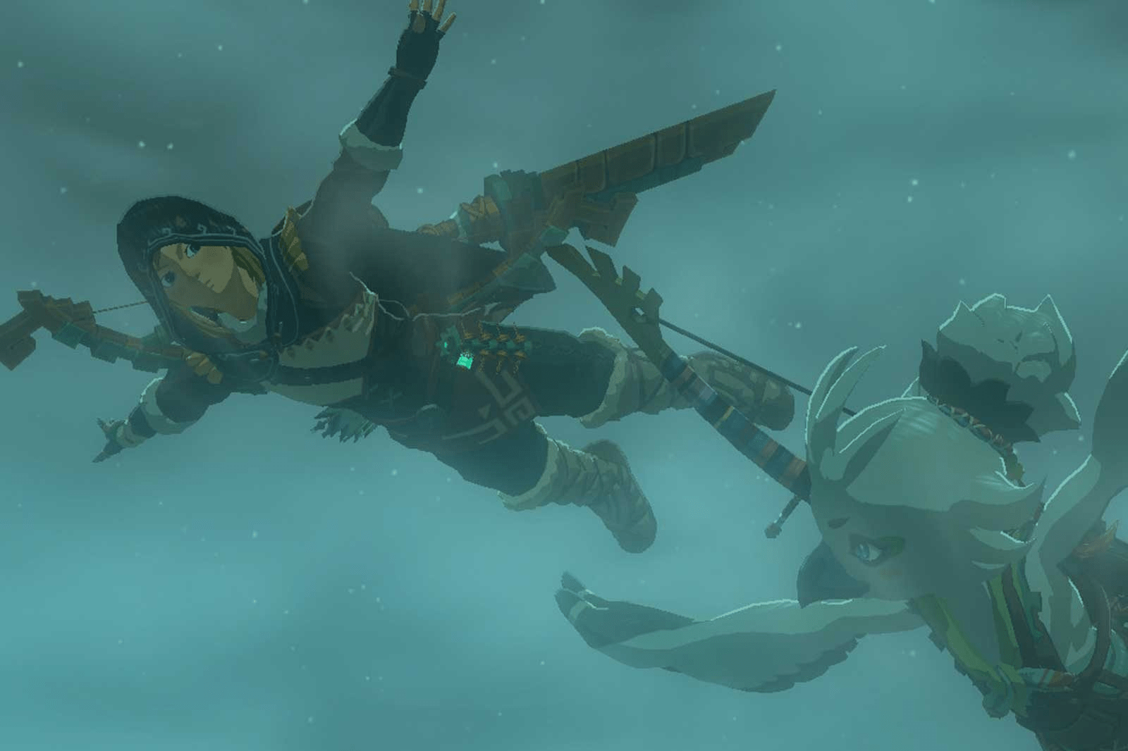 Zelda Tears of the Kingdom Water Temple Walkthrough All Puzzles and