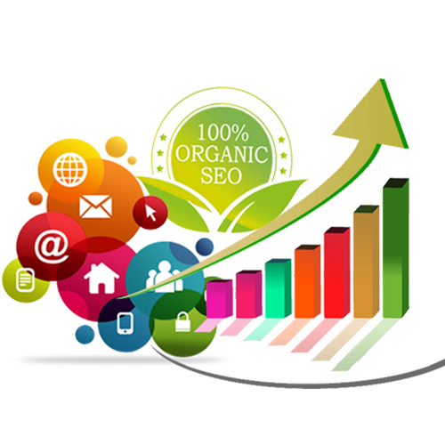 Organic SEO Services Company in India Increase Traffic & Leads