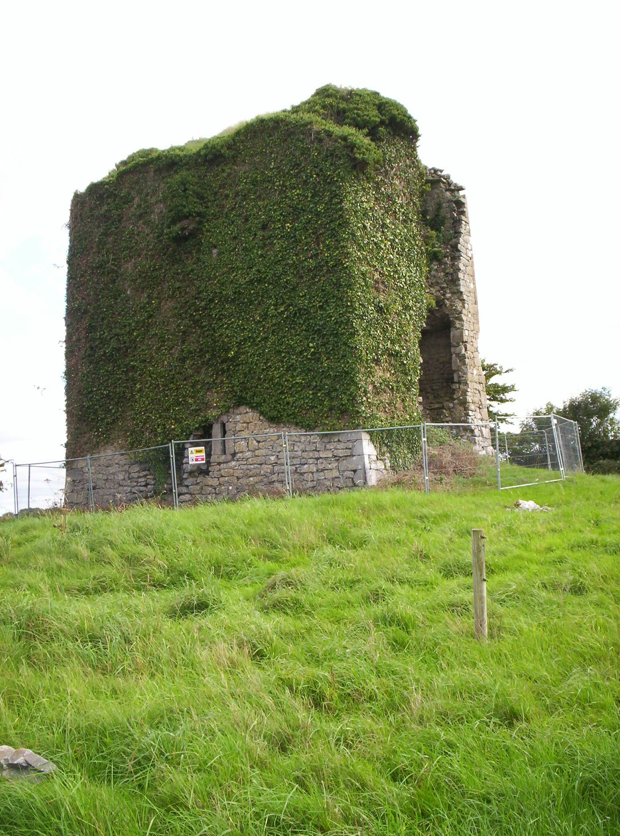 Castle for Sale Ballyfinboy Castle, Ireland