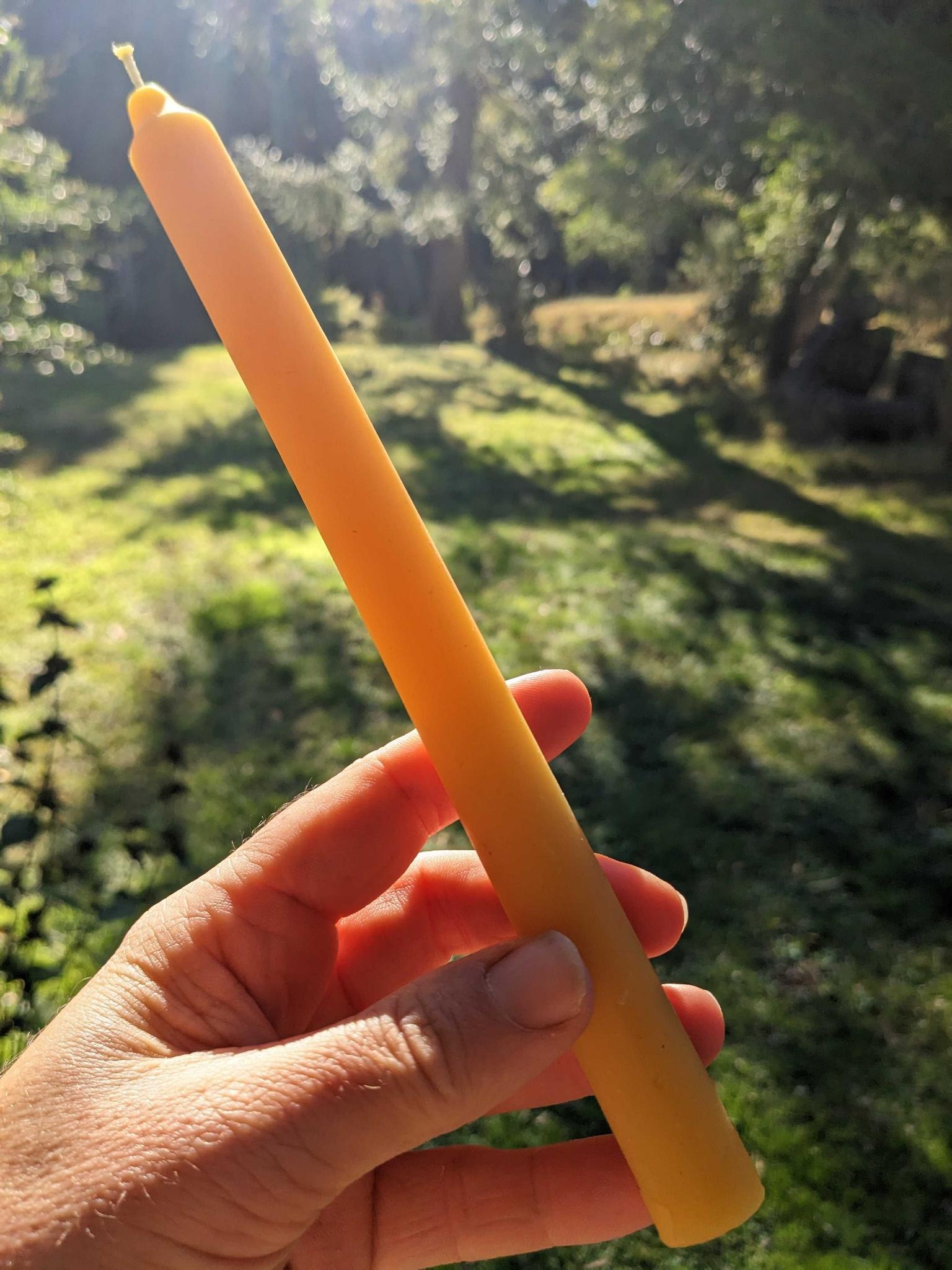 Long Daily Pure Beeswax Candlestick MediJelly