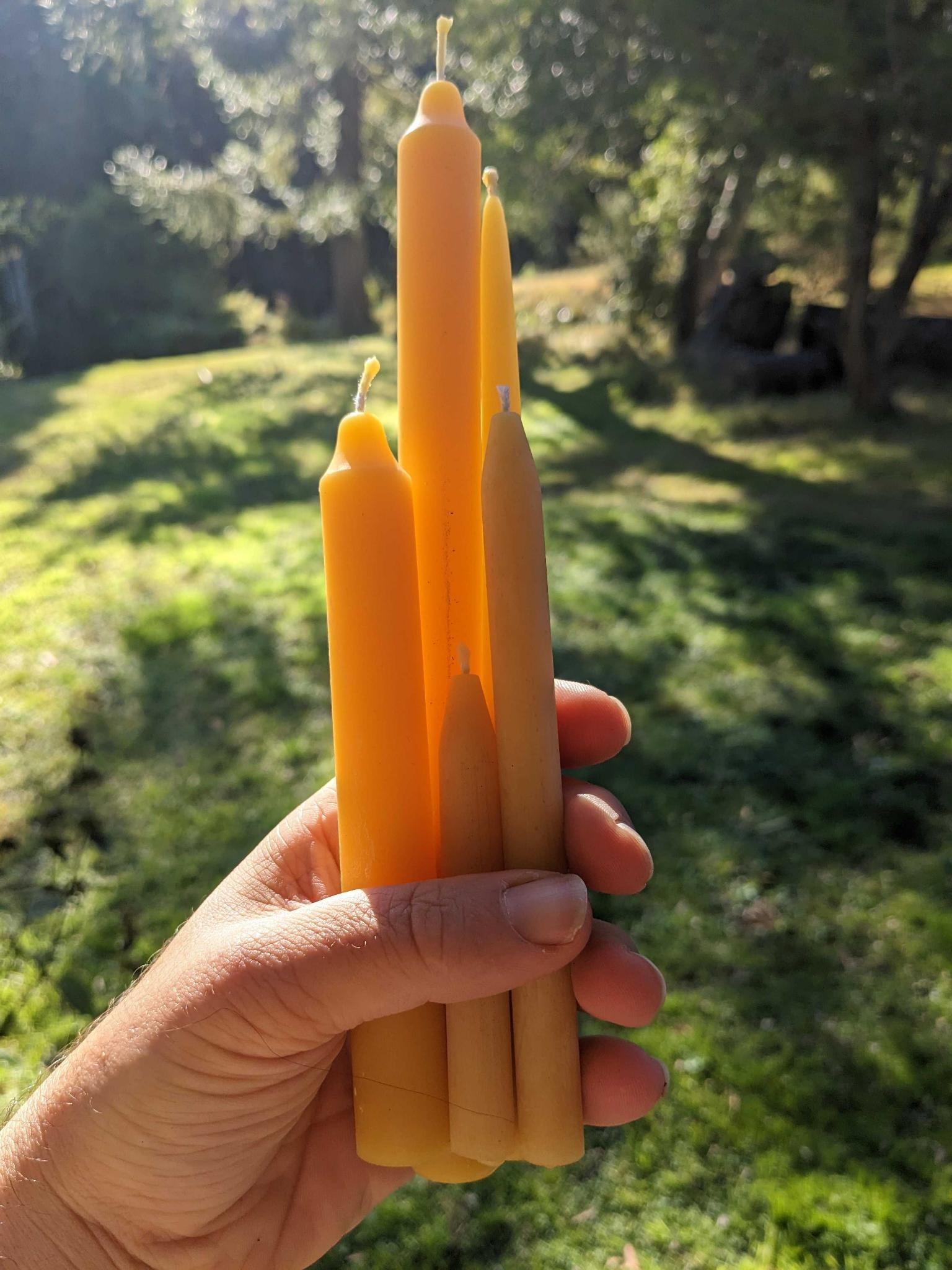 Long Daily Pure Beeswax Candlestick MediJelly