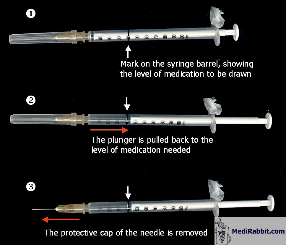 antibiotics dangerous for use in rabbits