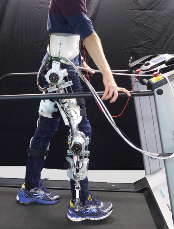LowerLimb Exoskeleton Serial Elasticity (L2ExoSE)