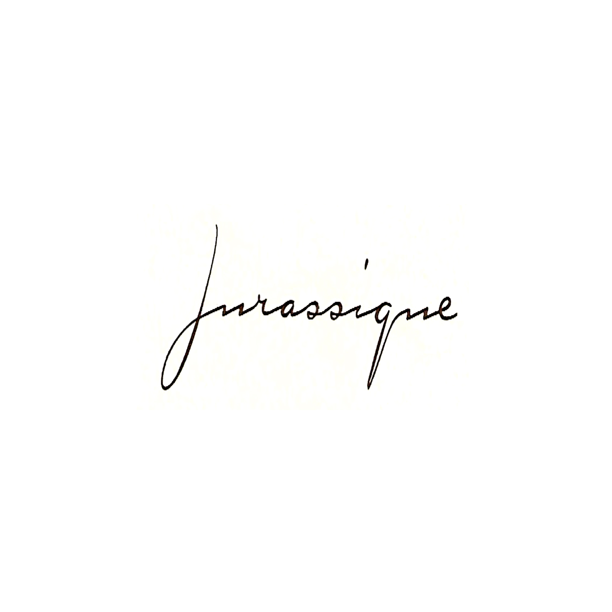 2013 Domaine du Pas Saint Martin Saumur Jurassique Medium Plus