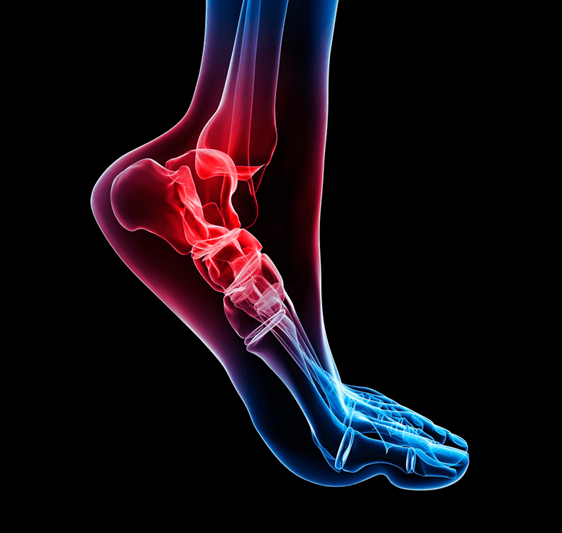 ORTHOBIOLOGICS Medline