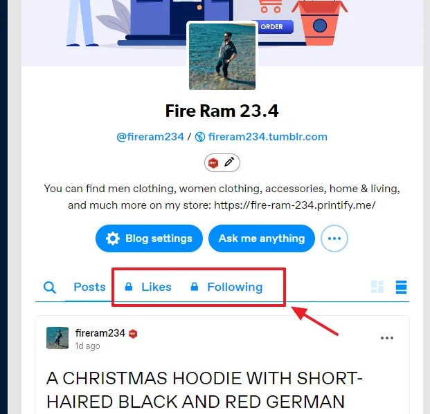 How to Customize Tumblr Blog Settings Meer's World