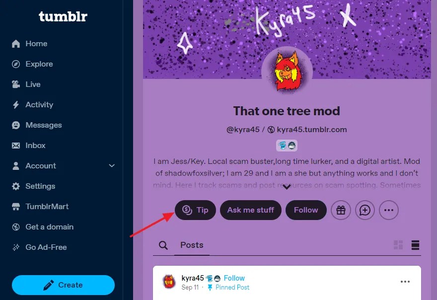 What is Tipping on Tumblr & How to Accept & Send Tips
