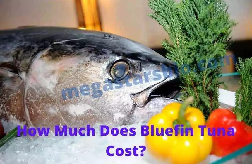 How Much Does Bluefin Tuna Cost?