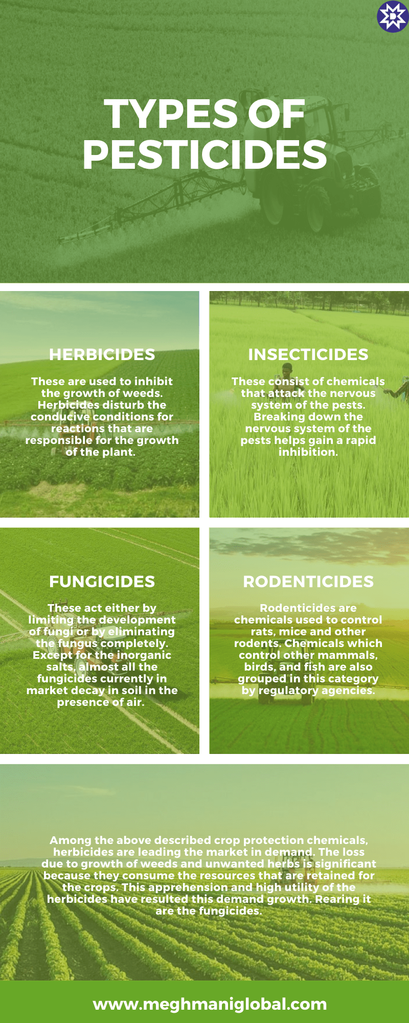 What are the Different Types of Pesticides? Infographic