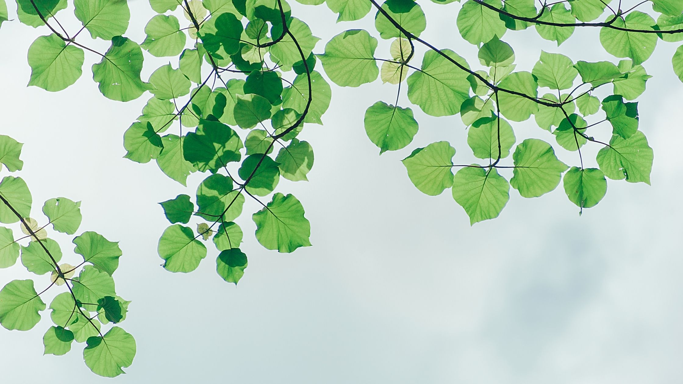 My Experience With TesterKorea, Shipping to Europe Mehach