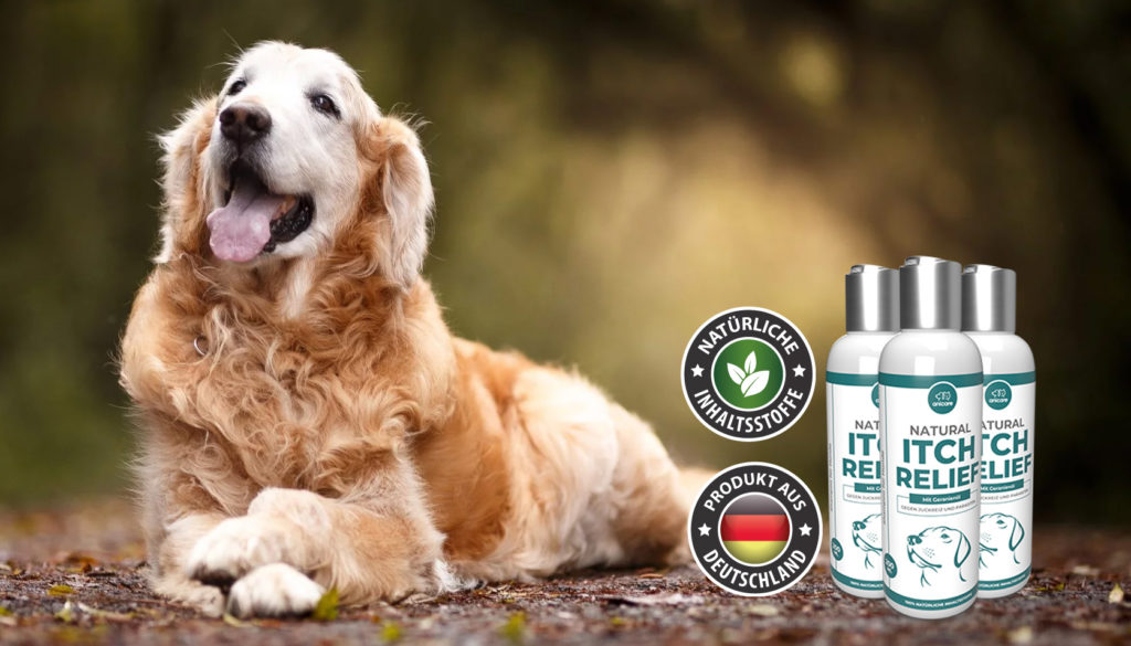 Gegen Hautjucken & Juckreiz bei Hunden! Meine Tierwelt