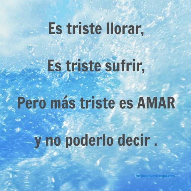 Versos de Amor y frases para enamorados para compartir