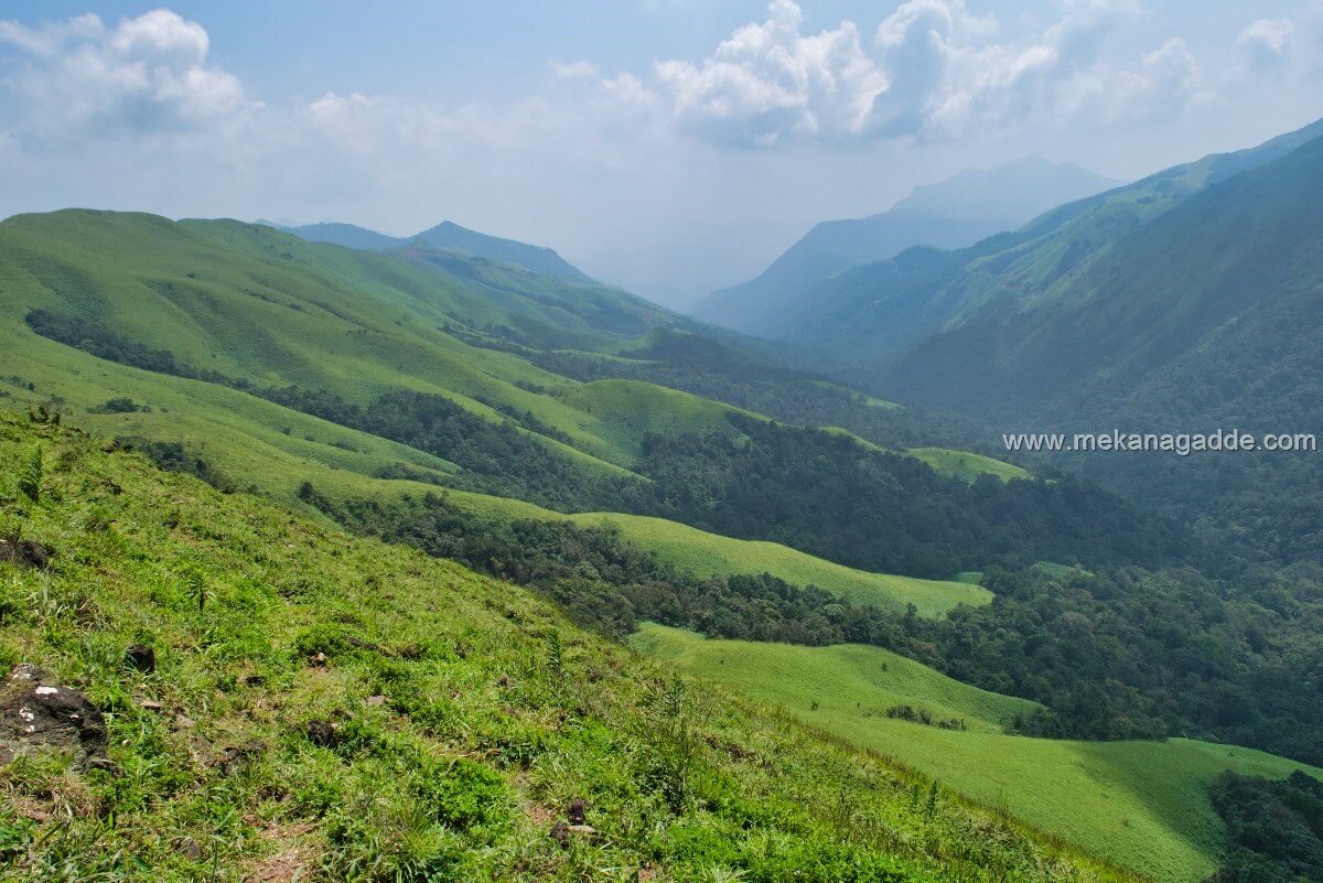Devaramane Trekking Mudigere, Chikmagalur Mekanagadde