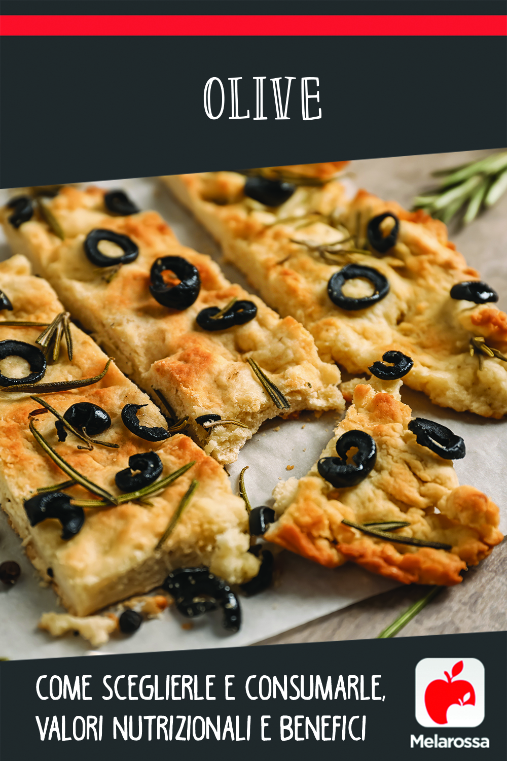 Olive cosa sono, le varietà, beneficie e valori nutrizionali Melarossa