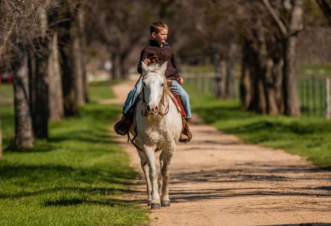 What Are Places To Go Horse Riding In Melbourne?