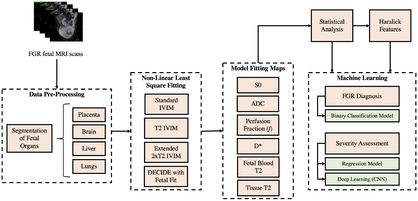MELBA An Approach to Automated Diagnosis and Texture Analysis of the