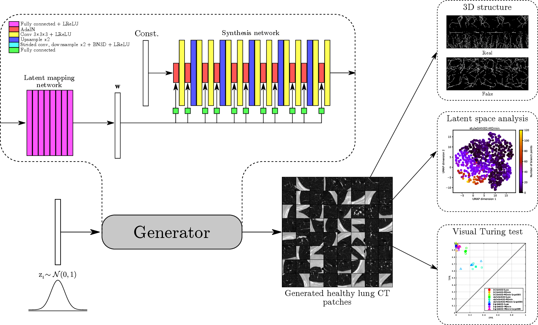 MELBA Evaluation of 3D GANs for Lung Tissue Modelling in Pulmonary CT