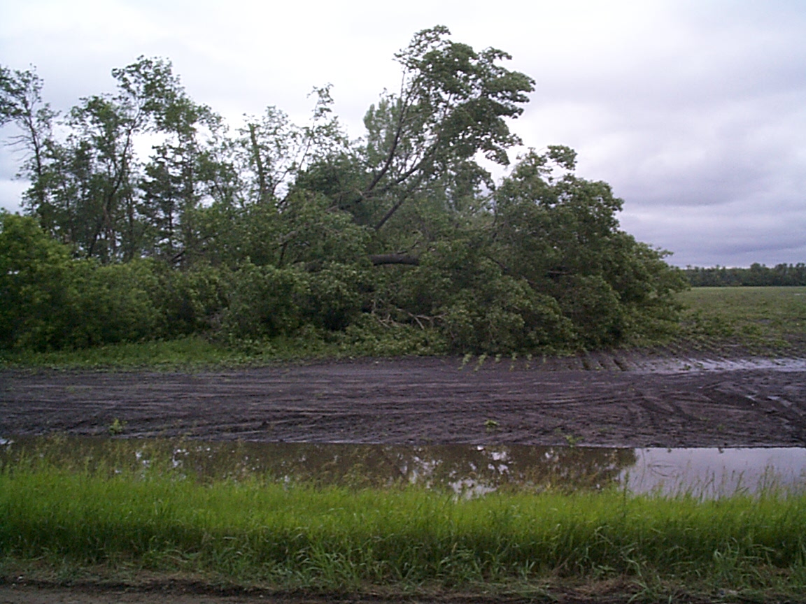 Larimore Storm Pages Melby's Food Pride