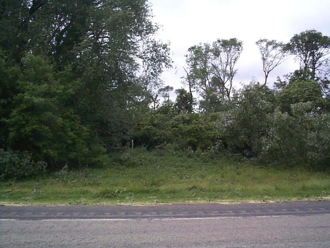 Larimore Storm Pages Melby's Food Pride