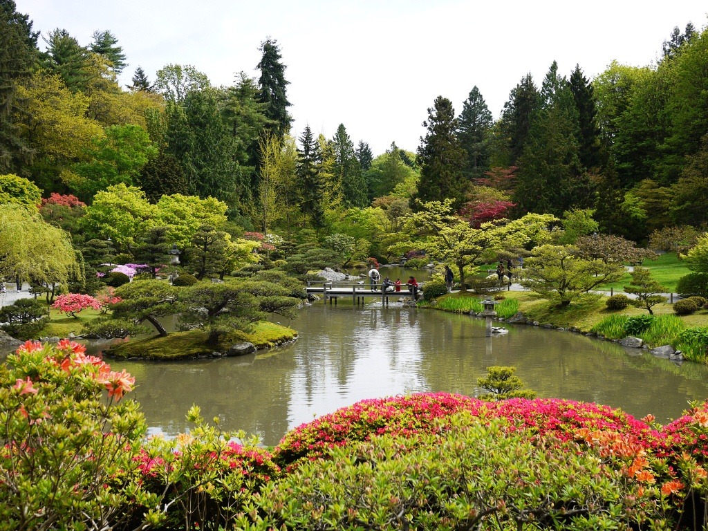 Seattle Japanese Garden Mel Carson