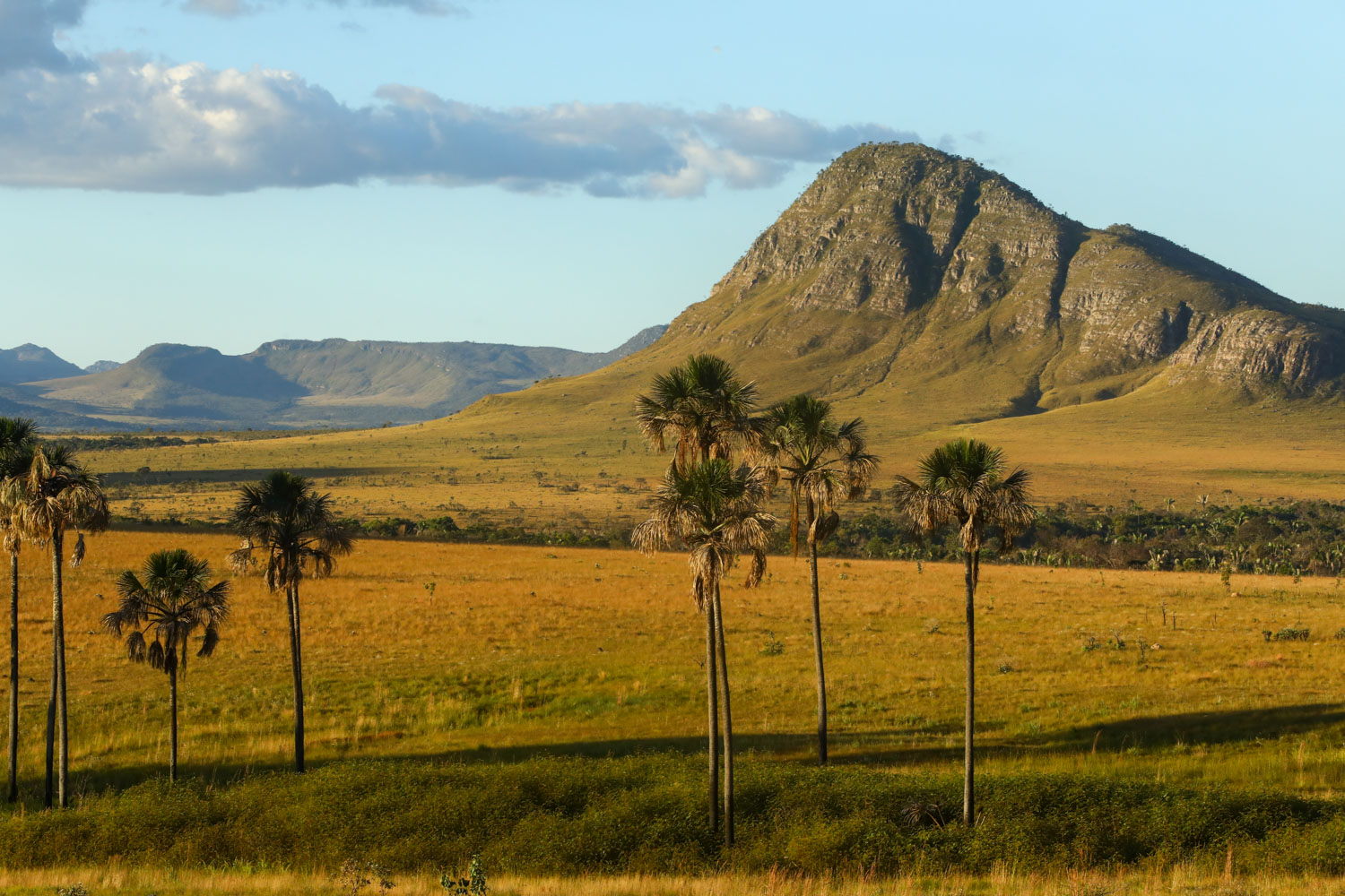 Chapada dos Veadeiros 47 dicas imperdíveis para a sua