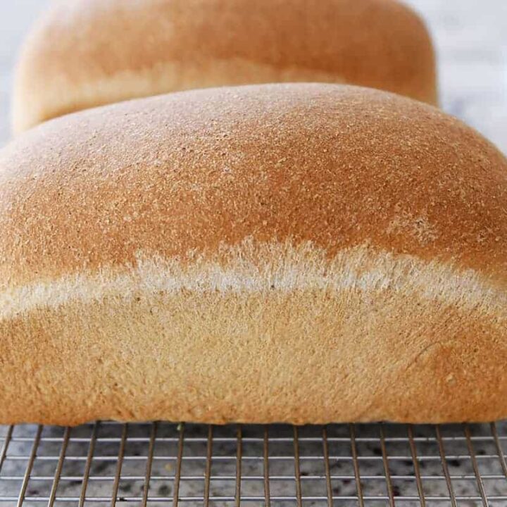 Small Batch Soft and Fluffy Whole Wheat Bread {Perfect for KitchenAid Mixers} Mel's Kitchen Cafe