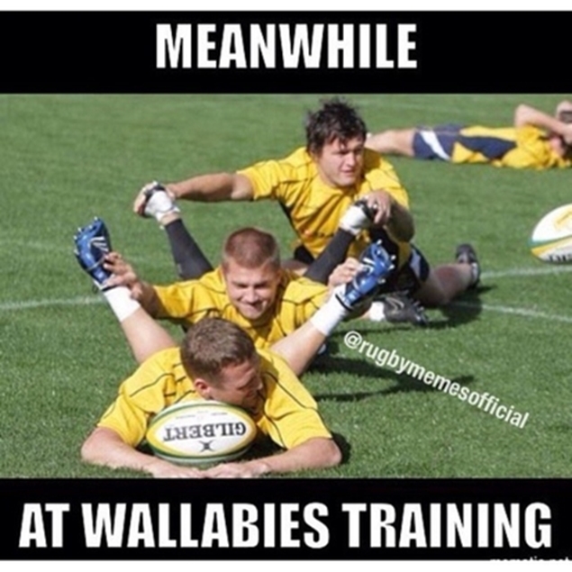16++ Funny Springbok Rugby Memes Factory Memes