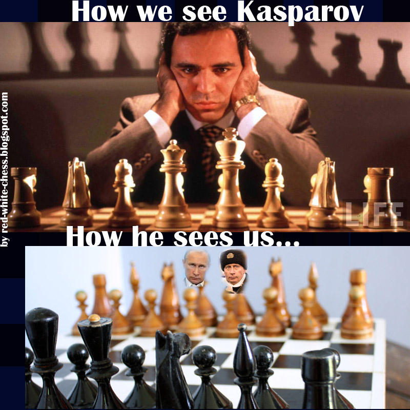 Chess Memes
