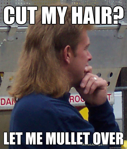 Mullet Memes