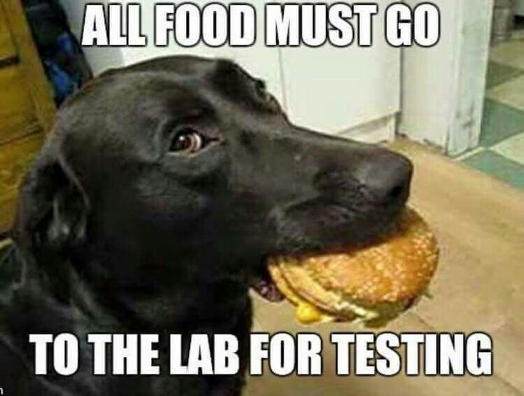 Funny laboratory Memes