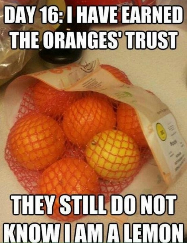 Fruit Memes