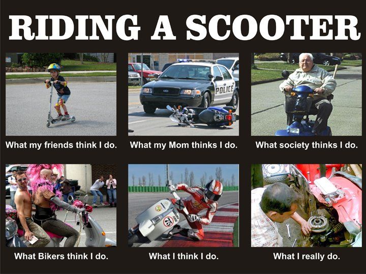 Scooter Memes