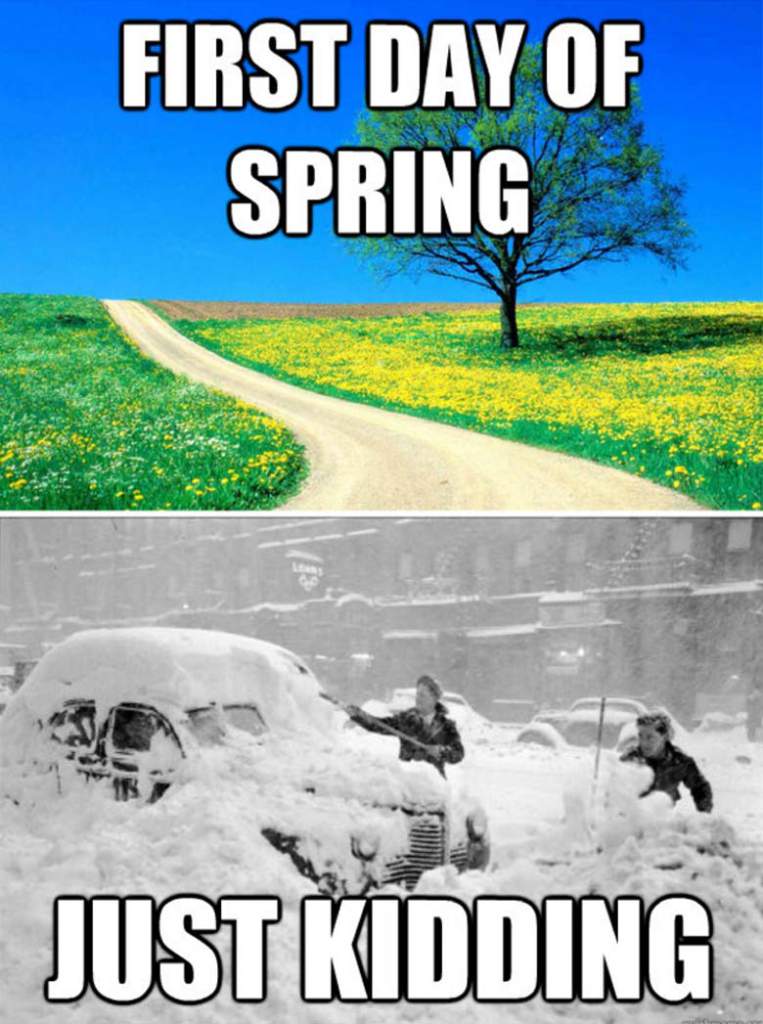 Spring Is Finally Here Funny