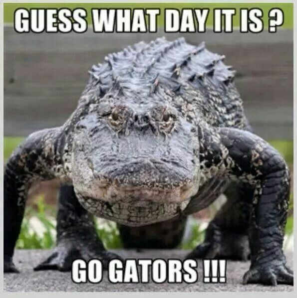 Gator Memes