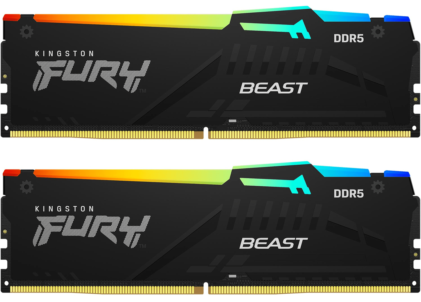 64GB Kingston Technology FURY Beast RGB 4800MHz DDR5 CL38 Dual Memory