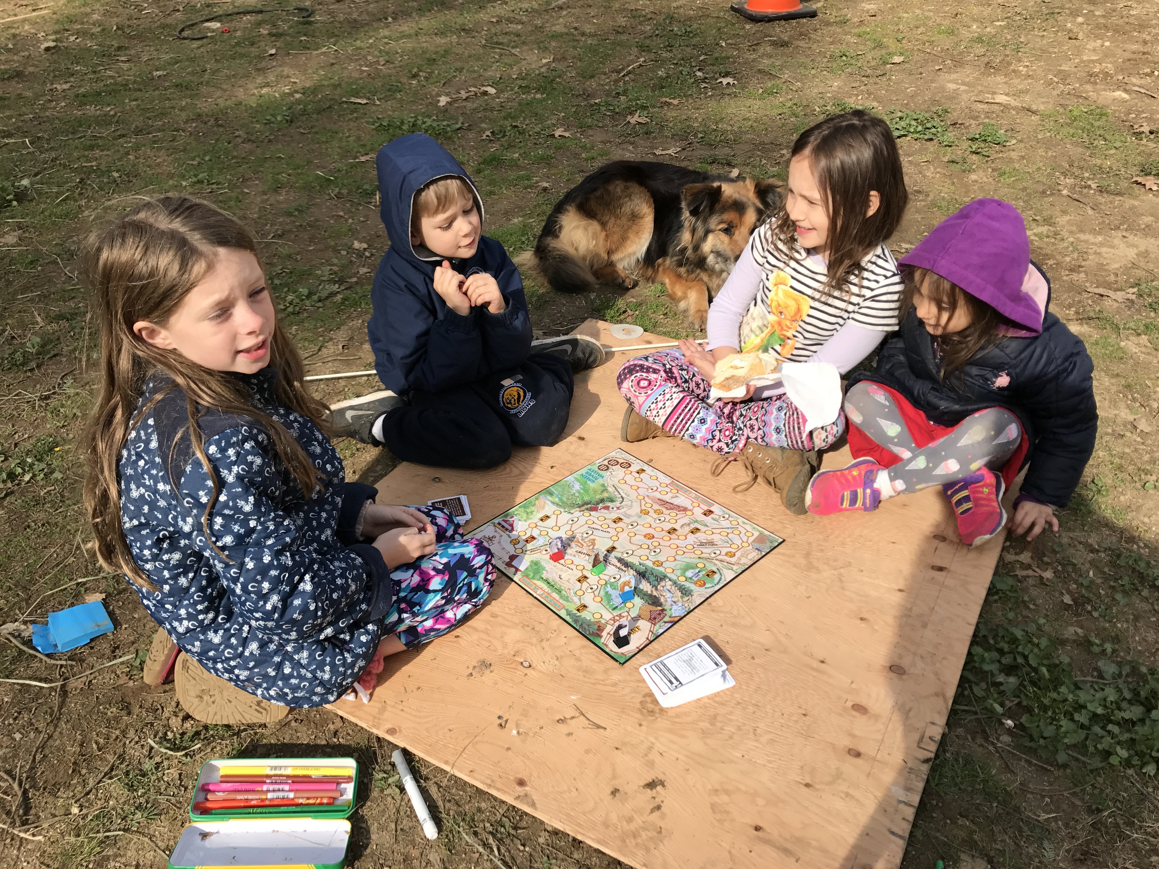 Memory Lane Farm Dog Boarding, Doggy Daycare & Walking Services MEMORY LANE FARM