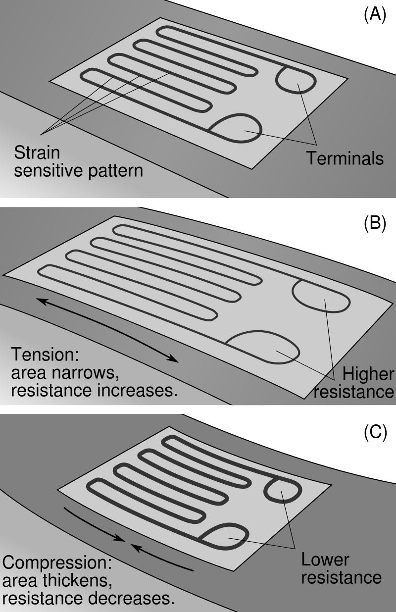Strain gaugeMEMSTEC 麥思科技有限公司