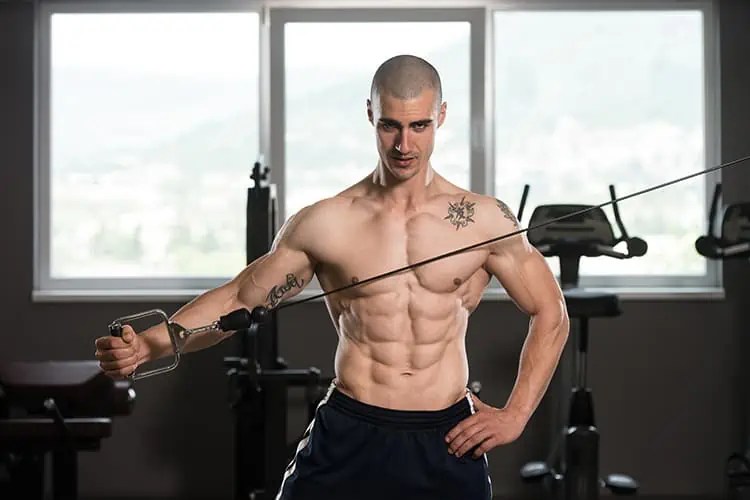 Best Cable Machine Core Exercises Men's Fit Club
