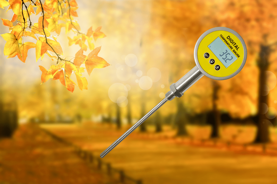 News What is a Bluetooth thermometer?